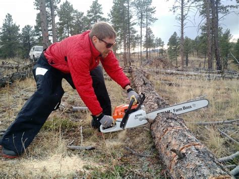 A Quality Chainsaw Is Tough To Test | GearJunkie