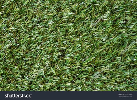 Green Turf Background Grass Texture Stock Photo 285008960 | Shutterstock