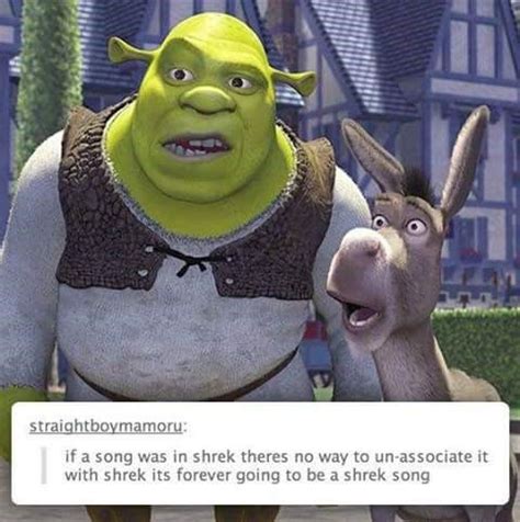 46 Shrek Memes That'll Make You An All Star | Shrek, Shrek memes, Animated movies