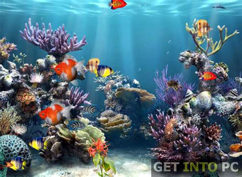 gif animado de arrecife de coral - vida fondos de pantalla gratis - 981x721 - WallpaperTip