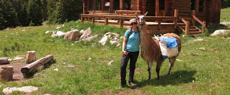 Llama Trekking - Paragon Guides | Backcountry Skiing | Vail Colorado