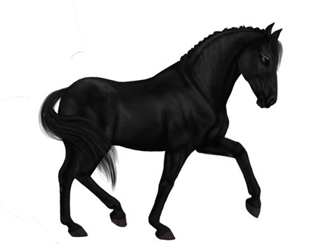 SSO Paso Fino Reposition [STOCK] by TheRogueHeartArt on DeviantArt