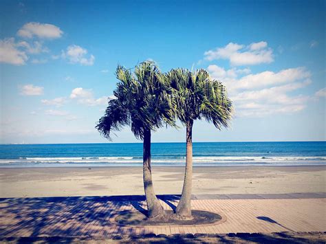 Popular Swimming Beaches in Japan