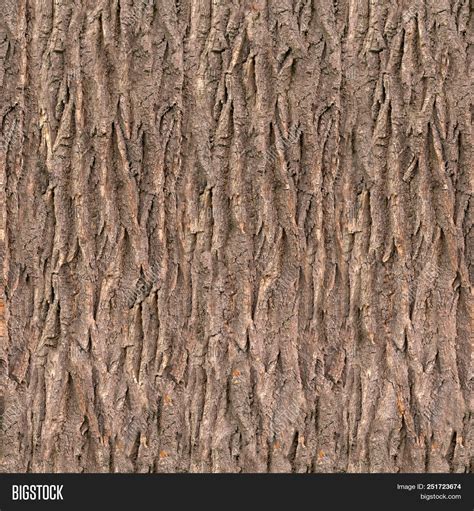 Seamless Oak Bark Texture