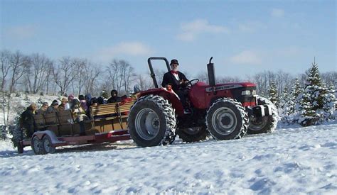 Christmas Tree Farms Near Me: Pennsylvania Christmas Tree Farms 2020