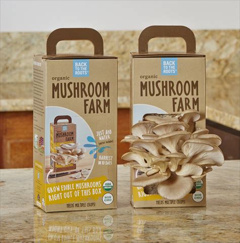 Mushroom Grow Kit Usa | The Garden