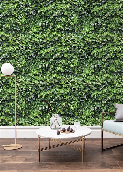 'Ivy Wall Garden Green' Wallpaper Mural | SurfaceView