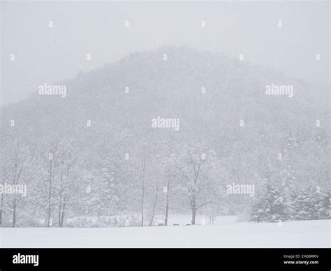 Snow storm against trees and mountains, Pennsylvania, USA Stock Photo ...