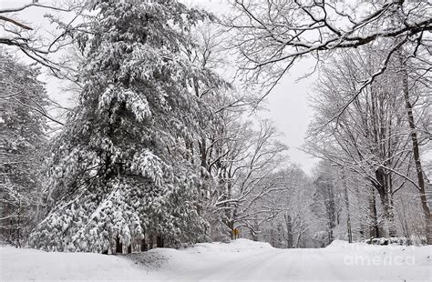 New England Snow Scene #1 Photograph by Staci Bigelow - Fine Art America