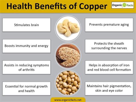 Health Benefits Of Copper