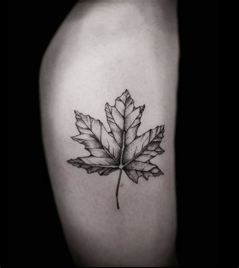 Tattoo uploaded by @rbnrascal • Fine line maple leaf • Tattoodo