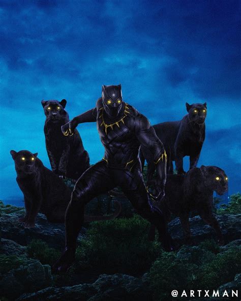 Black Panther fan art : r/marvelstudios