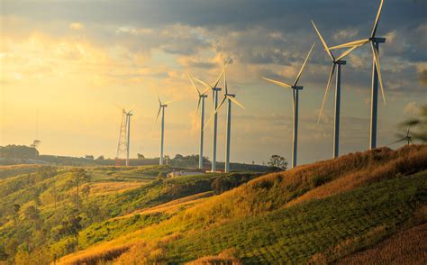 Wind Farms: Are They Really More Eco-Friendly? - Living Safer Magazine