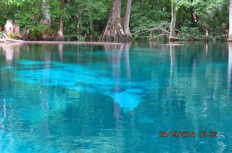 Silver Springs State Park - All You Need to Know BEFORE You Go