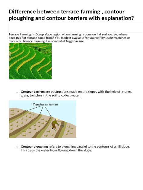 Difference Between Terrace Farming | PDF