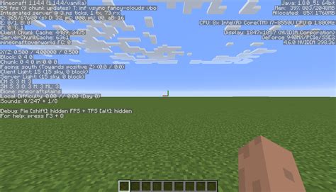 File:DebugScreen.png – Official Minecraft Wiki