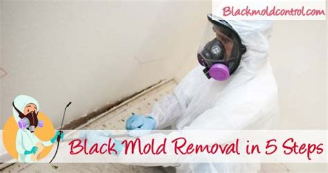 Black Mold Removal and Cleanup - Remediation or DIY?