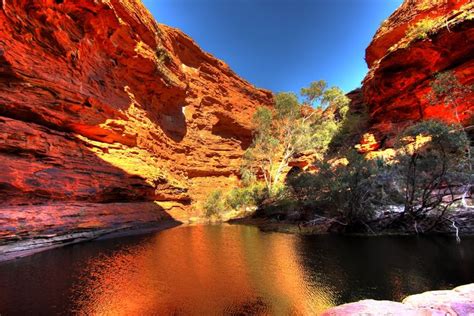 Kings Canyon - Australia | Kings canyon, Natural wonders, Travel ...