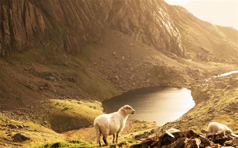 How is God Like a Shepherd? | Robert B. Sloan