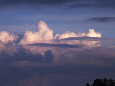 Cumulus congestus? | Clouds, Prehistoric creatures, Celestial