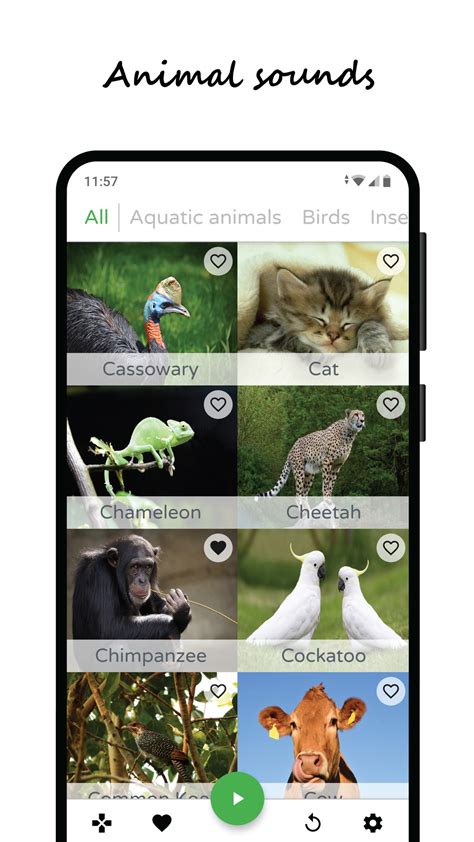 Animal Sounds, Animal Games | It's All Widgets!