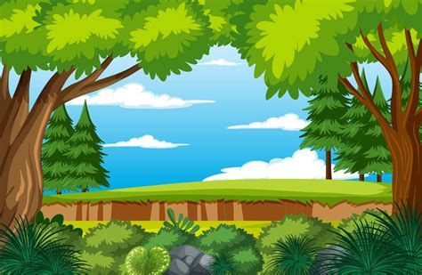 Path Through The Forest Background, Free Vector Clipart Forest - Clip ...