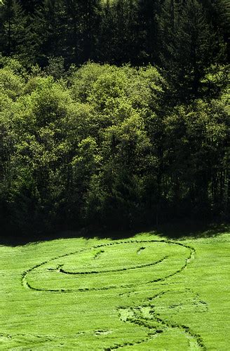 Put on a Happy Face | Senior prank in a nearby field, just i… | Flickr