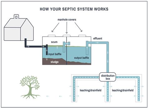 Septic System Basics | Nature's Call Septic Service | Minnesota