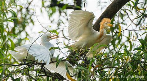 Tansa Wildlife Sanctuary, Maharashtra