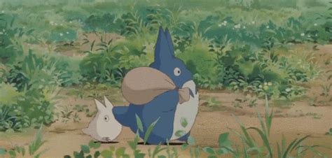 totoro on Tumblr