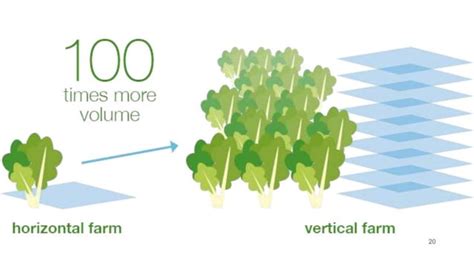 Vertical farming | PPT