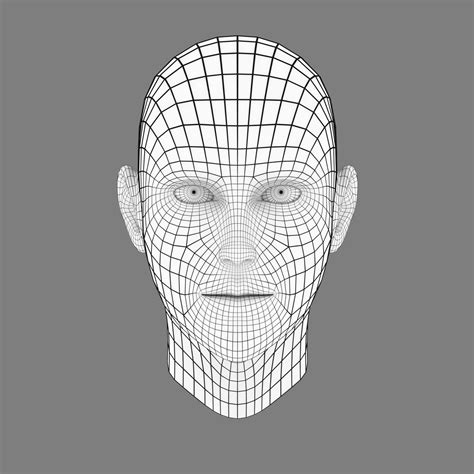 Head Base Mesh Free 3D Model - .obj .ma .mb - Free3D