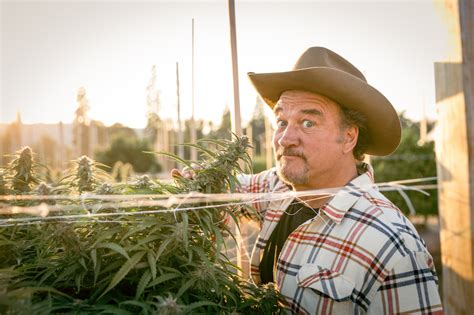 Inside Jim Belushi's Cannabis Operation, Belushi's Farm