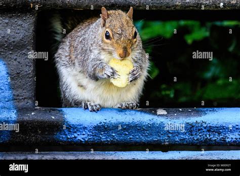 Walkers crisps gary lineker hi-res stock photography and images - Alamy