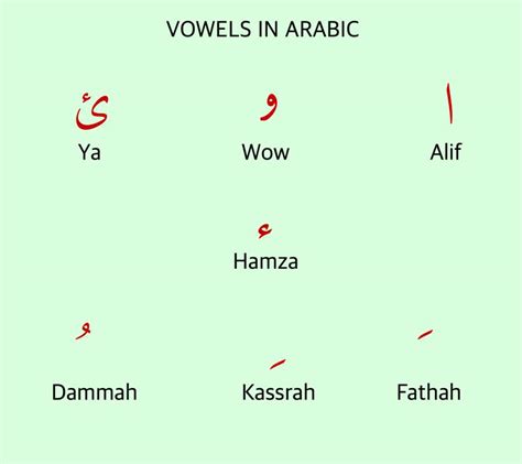 The First 9 Vowels Of Arabic Language For Quran Stude - vrogue.co