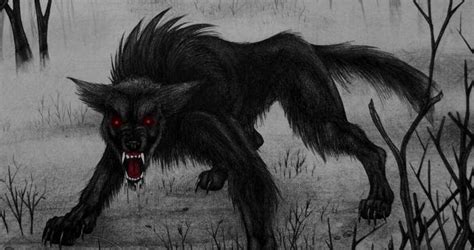 Black Shuck | Wiki | Urban Legends & Cryptids Amino