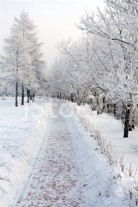 Snow-Covered Path In The Park Stock Photo | Royalty-Free | FreeImages