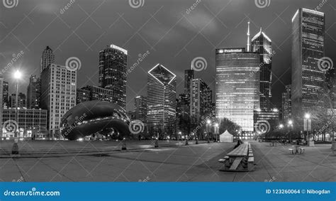 Chicago bean at night editorial stock image. Image of city - 123260064