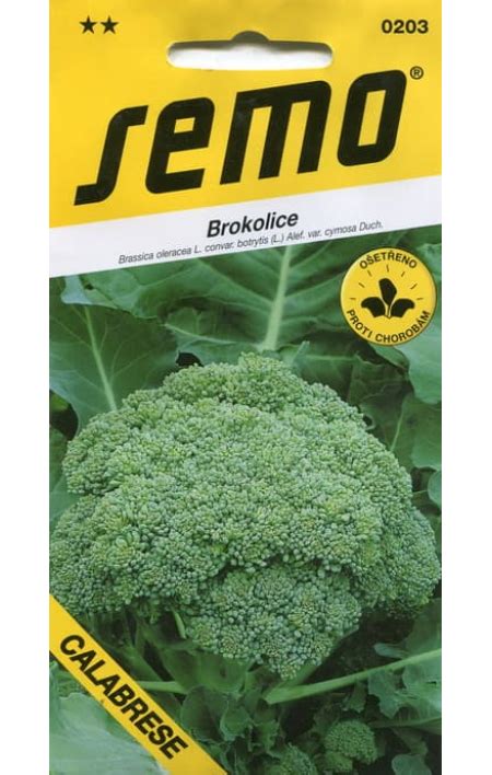 Green Sprouting Calabrese: seeds: wholesale trade