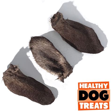 Kangaroo Ears - HEALTHY DOG TREATS