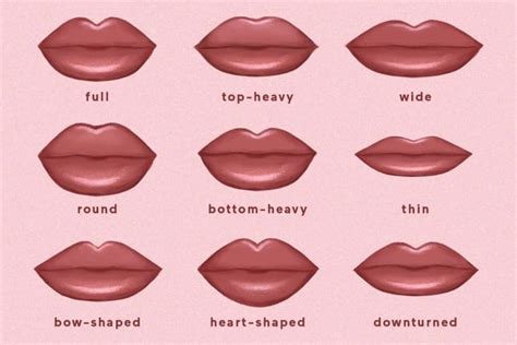 Which Of The 9 Lip Shapes Do You Have? Plus, How To Enhance Each | Lip shapes, Types of lips ...