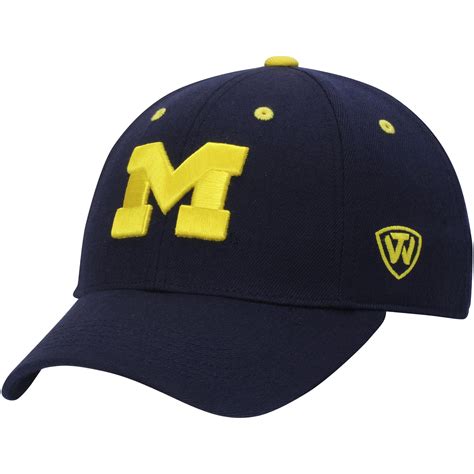 Michigan Wolverines Top of the World Dynasty Memory Fit Fitted Hat ...