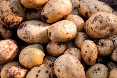 How to Grow Yukon Gold Potatoes | Hunker