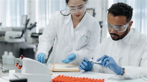 What is 'Downstream Bioprocessing'?