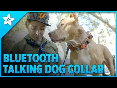 Talking Dog Collar with Bluetooth Control | Talking dog, Friends in love, Gifts for pet lovers