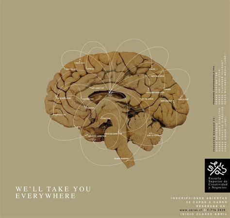 Brain | Ads of the World™ | Creative advertising, Creative advertising campaign, Creative