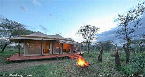 Top 10 Best Serengeti Luxury Safari Lodges & Camps