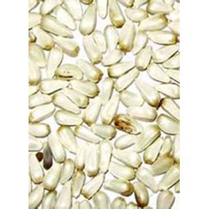 Wholesale Safflower Seeds,Safflower Seeds in Bulk,Supplier,Trader ...