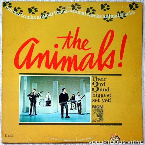 The Animals ‎– Animal Tracks (1965) Vinyl, LP, Album, Mono – Voluptuous ...