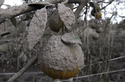 The Devastating Effects of a Volcano Eruption in North Sumatra (26 pics) - Izismile.com